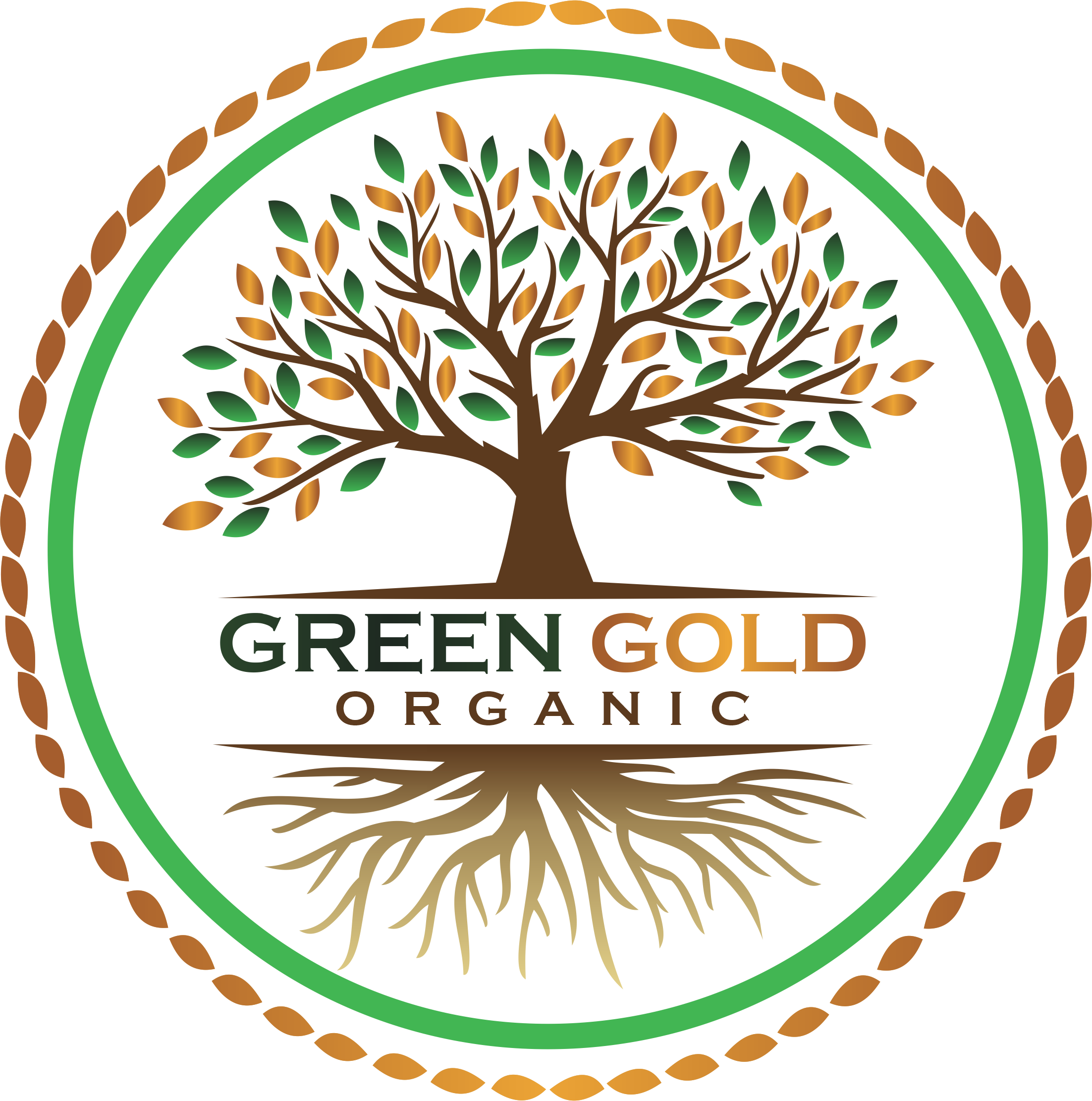 Descripción de la imagen